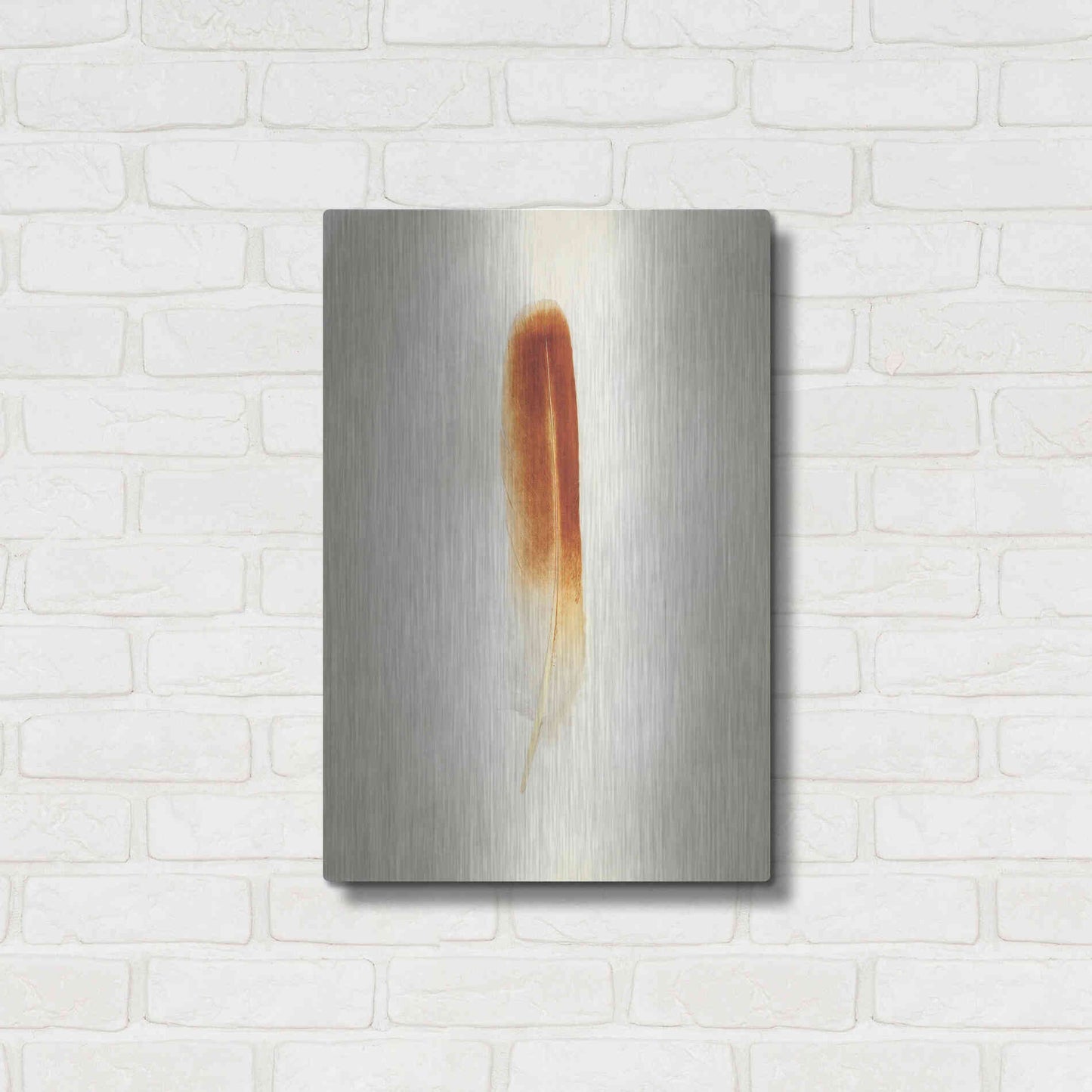 Luxe Metal Art 'Feather II' by Debra Van Swearingen, Metal Wall Art,16x24