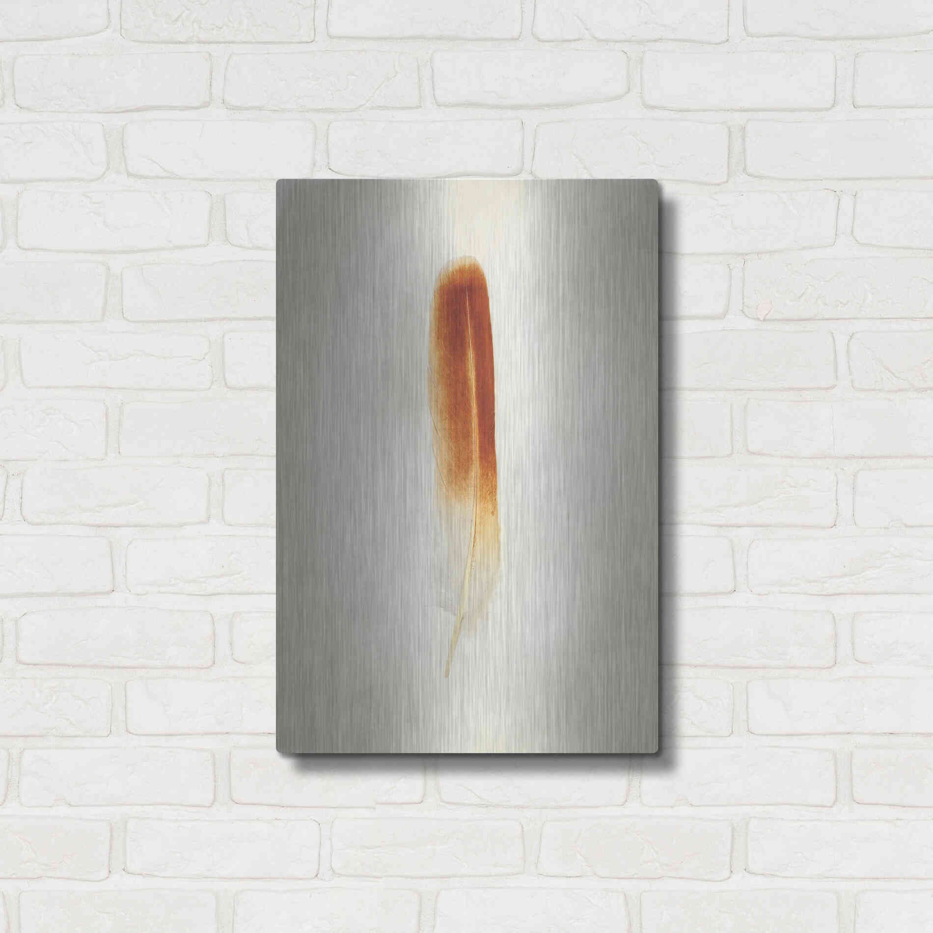 Luxe Metal Art 'Feather II' by Debra Van Swearingen, Metal Wall Art,16x24