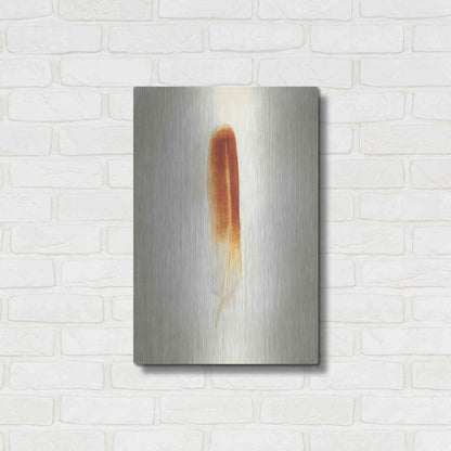 Luxe Metal Art 'Feather II' by Debra Van Swearingen, Metal Wall Art,16x24