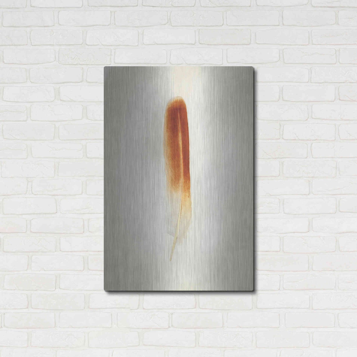Luxe Metal Art 'Feather II' by Debra Van Swearingen, Metal Wall Art,24x36