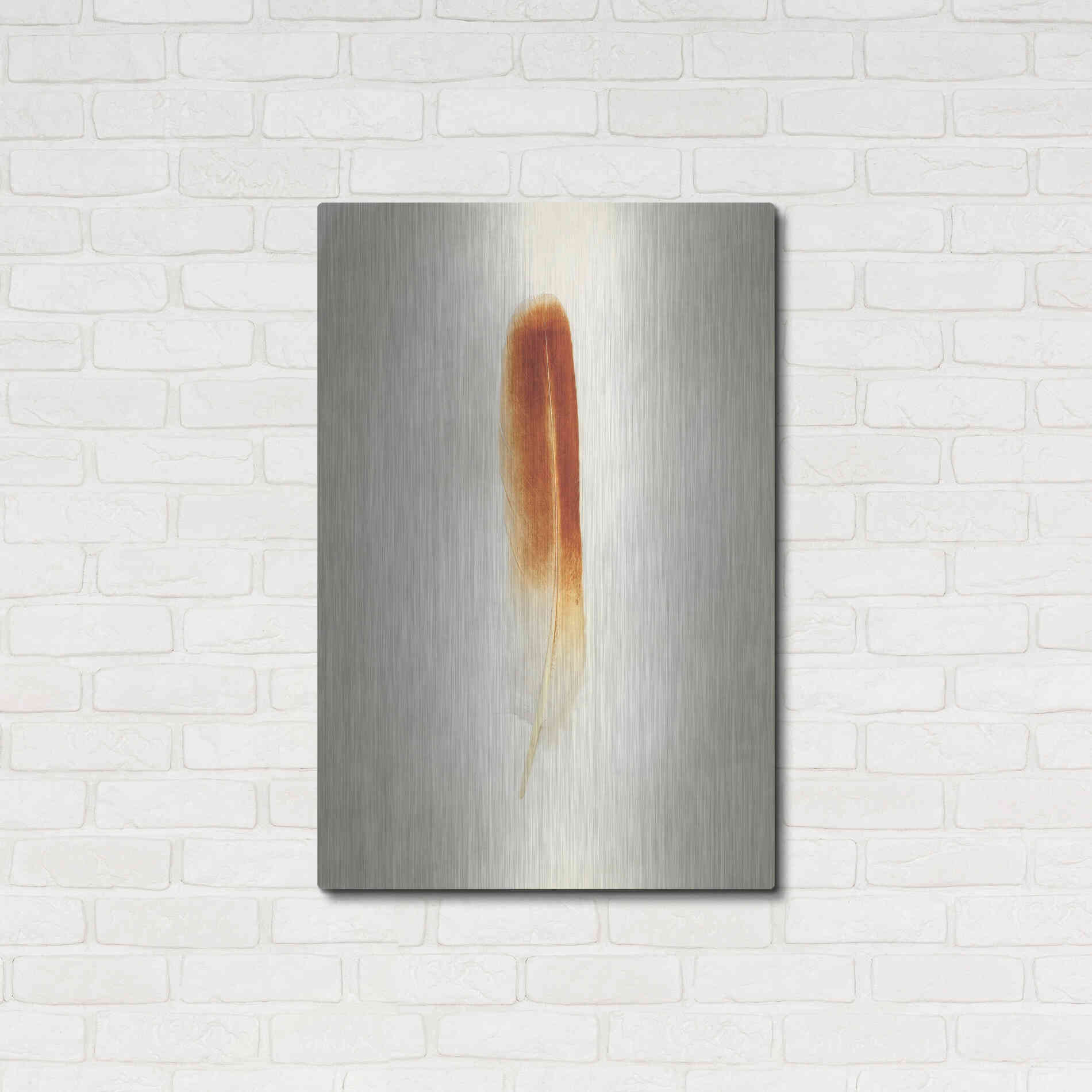 Luxe Metal Art 'Feather II' by Debra Van Swearingen, Metal Wall Art,24x36