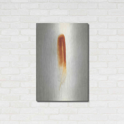 Luxe Metal Art 'Feather II' by Debra Van Swearingen, Metal Wall Art,24x36