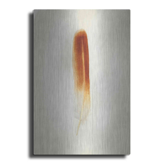 Luxe Metal Art 'Feather II' by Debra Van Swearingen, Metal Wall Art