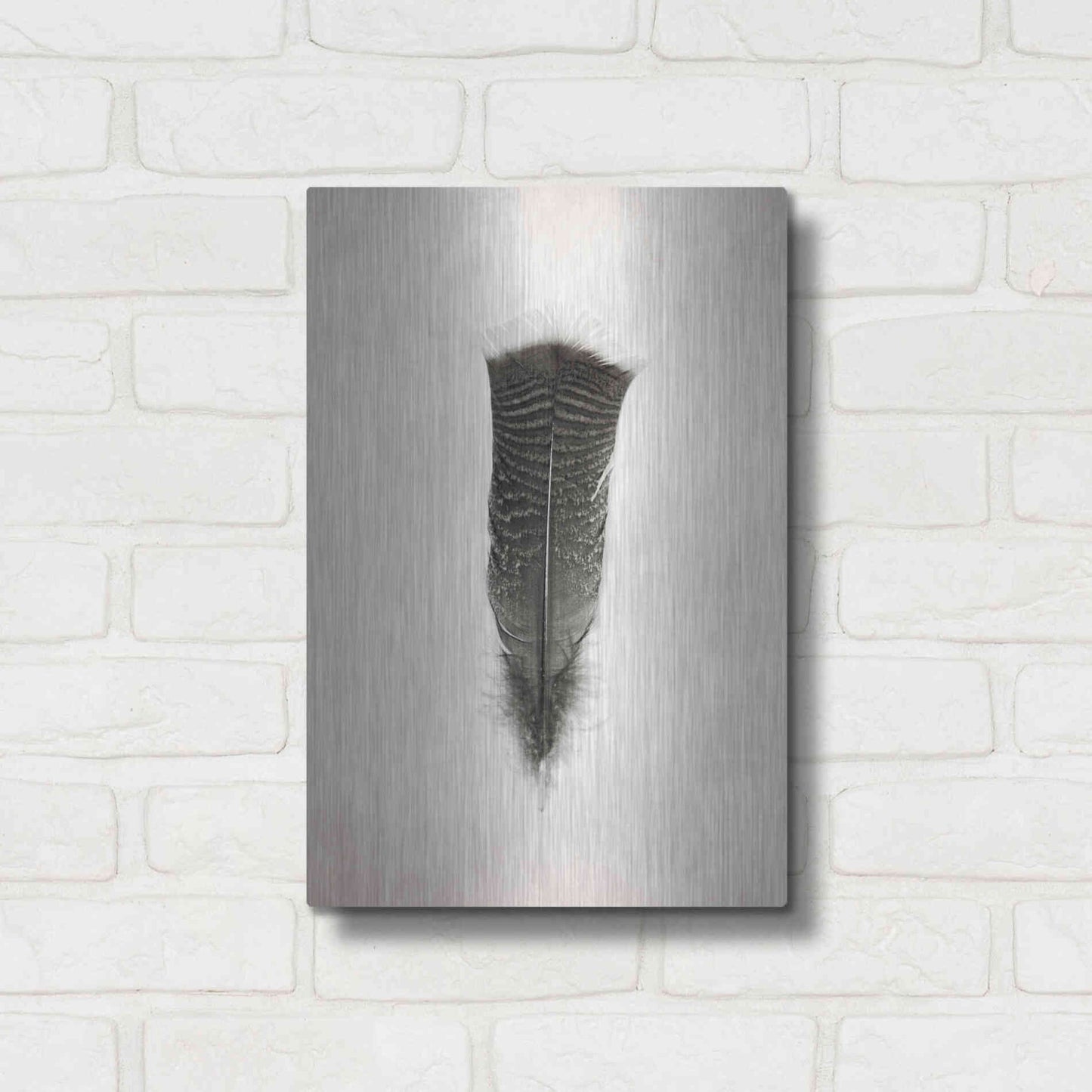Luxe Metal Art 'Feather III B&W' by Debra Van Swearingen, Metal Wall Art,12x16