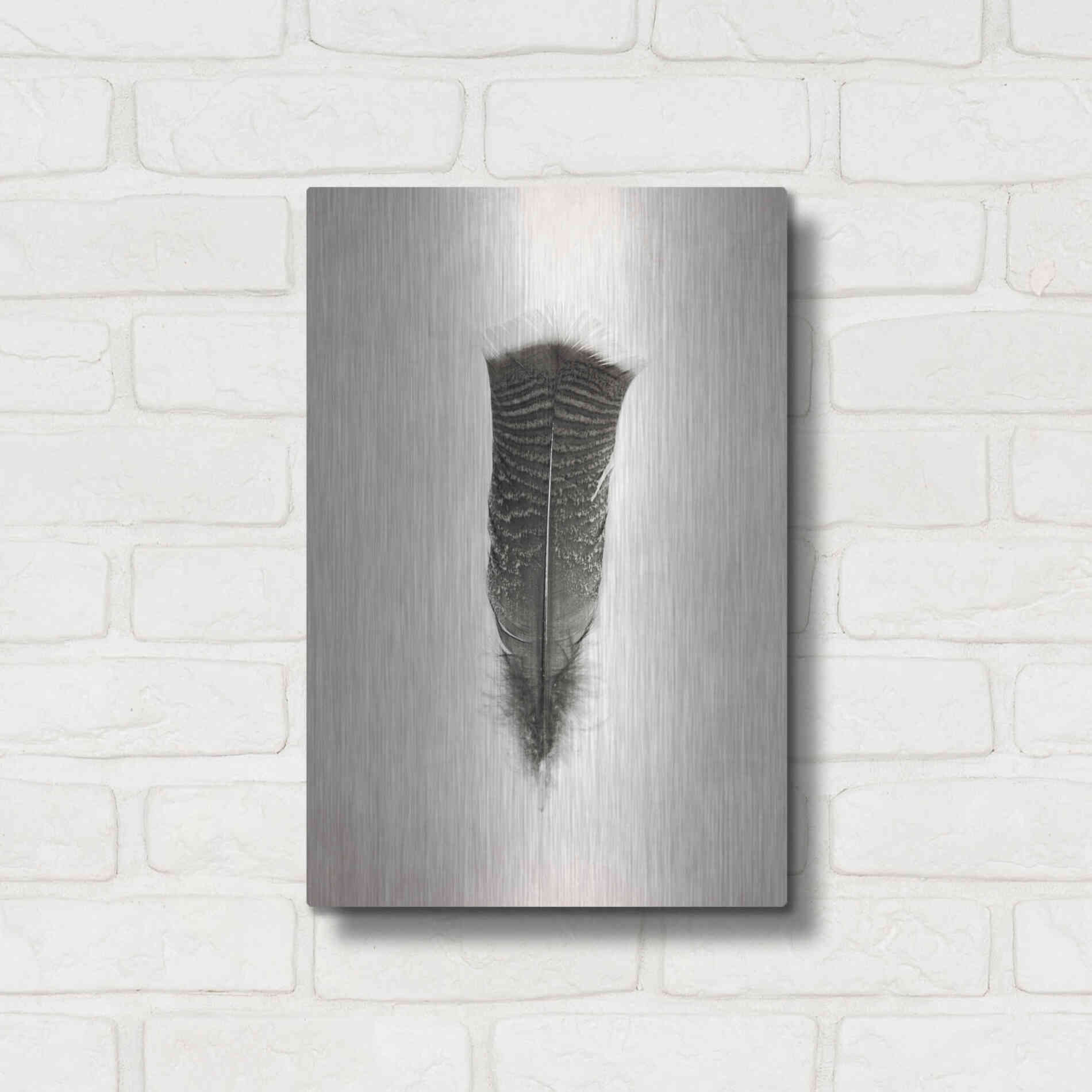 Luxe Metal Art 'Feather III B&W' by Debra Van Swearingen, Metal Wall Art,12x16