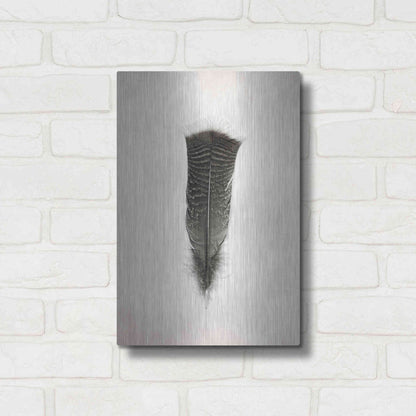 Luxe Metal Art 'Feather III B&W' by Debra Van Swearingen, Metal Wall Art,12x16