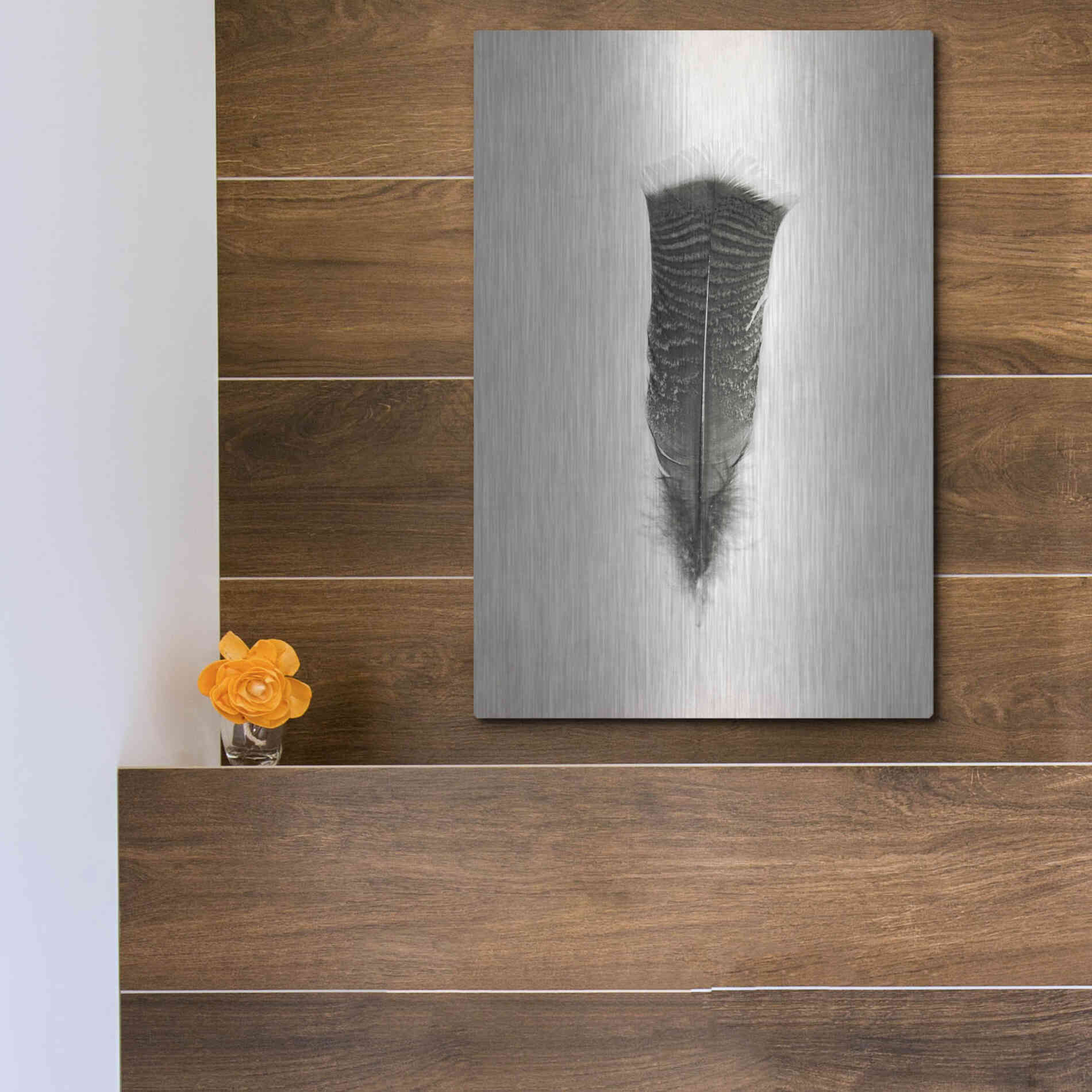 Luxe Metal Art 'Feather III B&W' by Debra Van Swearingen, Metal Wall Art,12x16