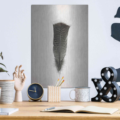 Luxe Metal Art 'Feather III B&W' by Debra Van Swearingen, Metal Wall Art,12x16