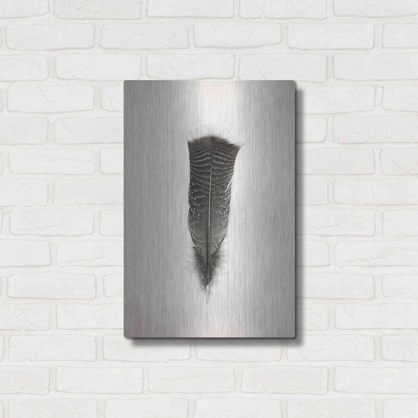 Luxe Metal Art 'Feather III B&W' by Debra Van Swearingen, Metal Wall Art,16x24