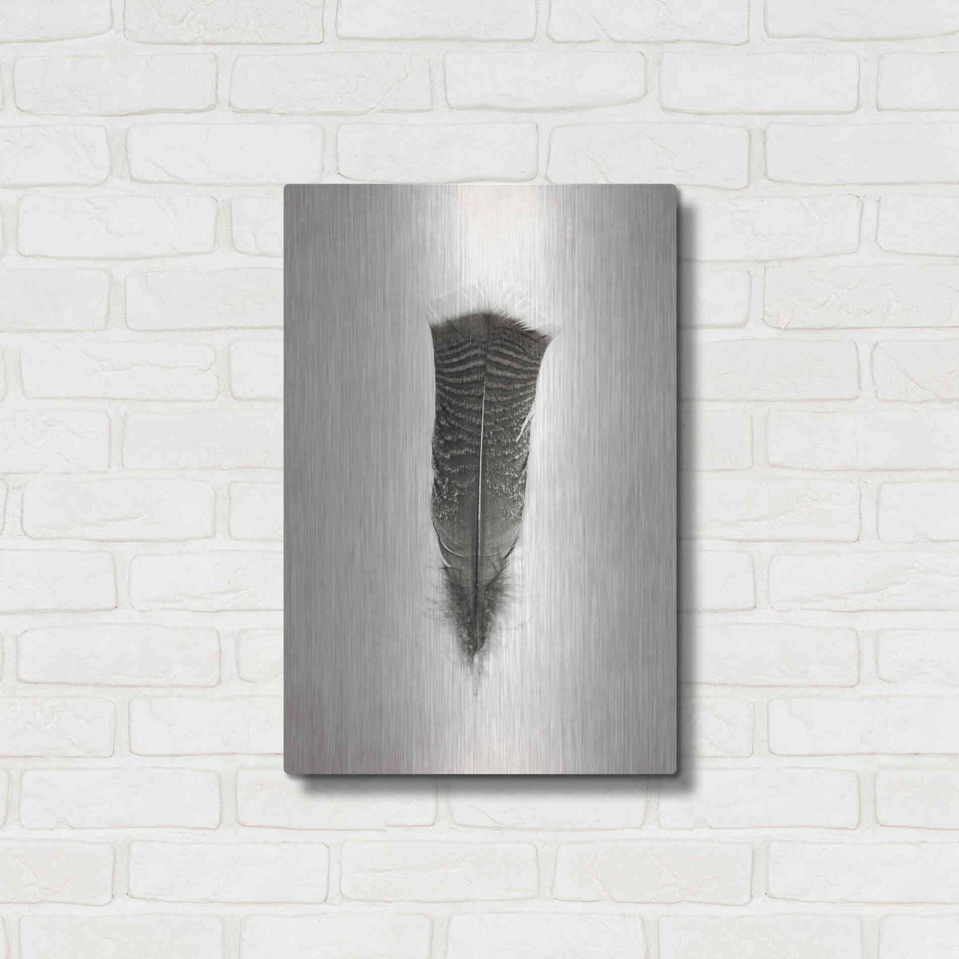 Luxe Metal Art 'Feather III B&W' by Debra Van Swearingen, Metal Wall Art,16x24