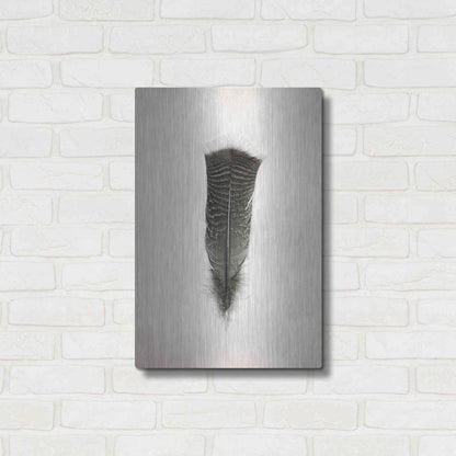 Luxe Metal Art 'Feather III B&W' by Debra Van Swearingen, Metal Wall Art,16x24