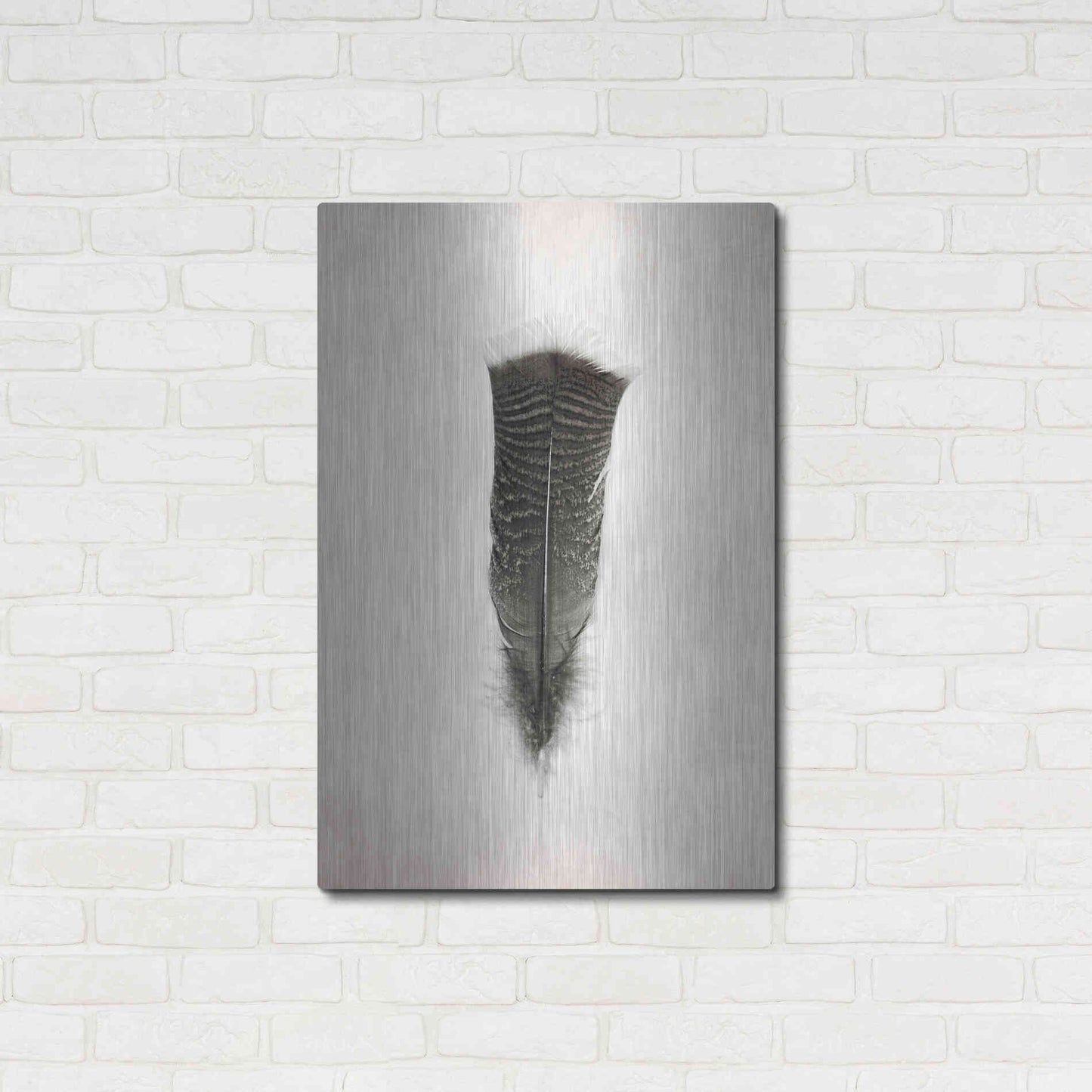 Luxe Metal Art 'Feather III B&W' by Debra Van Swearingen, Metal Wall Art,24x36