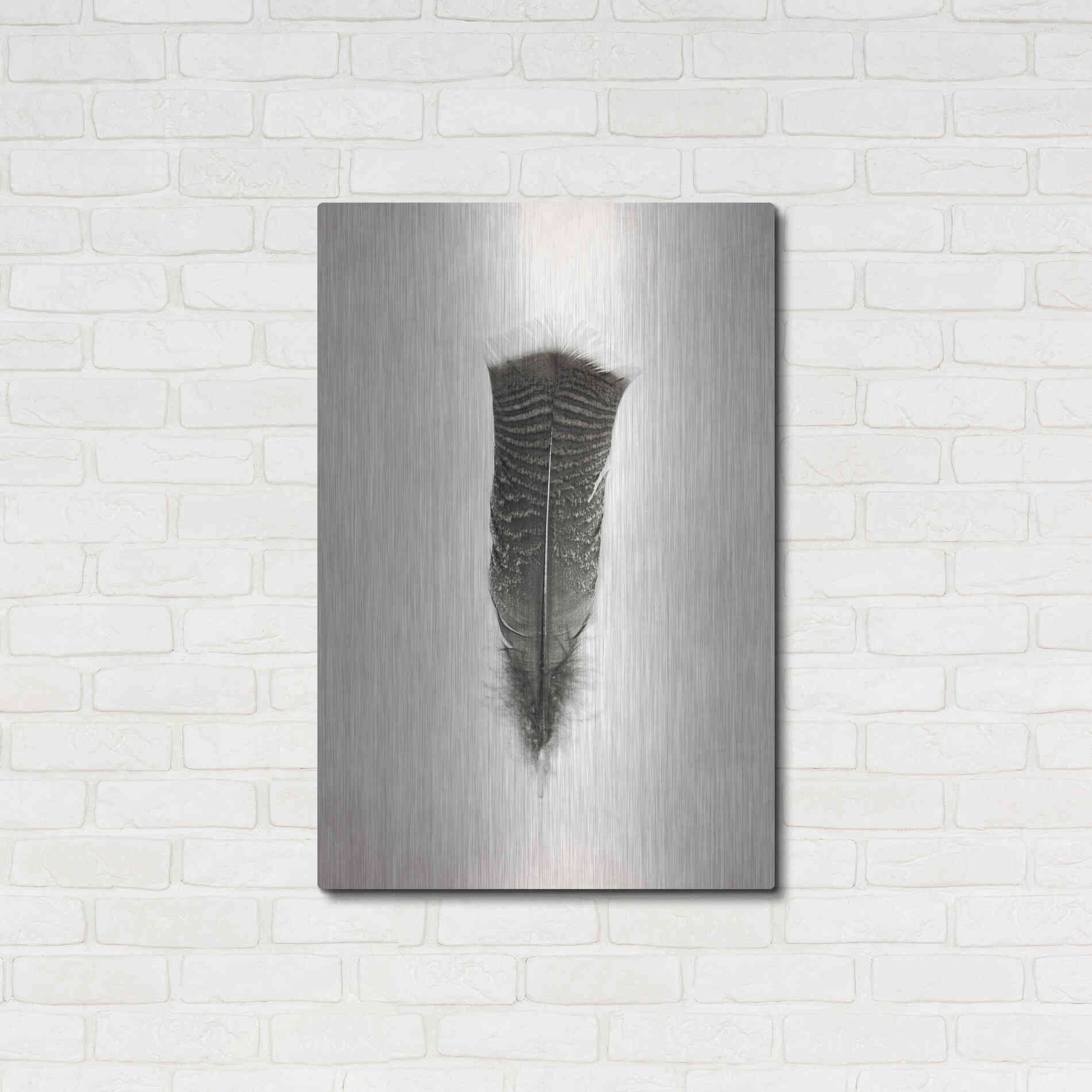 Luxe Metal Art 'Feather III B&W' by Debra Van Swearingen, Metal Wall Art,24x36