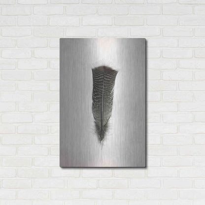 Luxe Metal Art 'Feather III B&W' by Debra Van Swearingen, Metal Wall Art,24x36