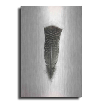 Luxe Metal Art 'Feather III B&W' by Debra Van Swearingen, Metal Wall Art
