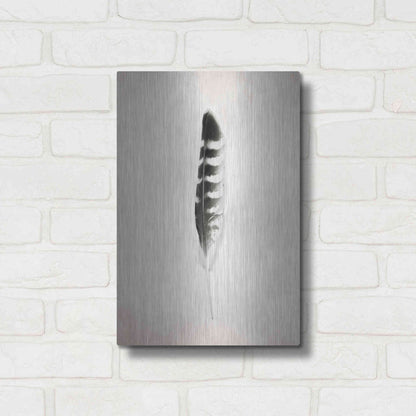 Luxe Metal Art 'Feather IV B&W' by Debra Van Swearingen, Metal Wall Art,12x16