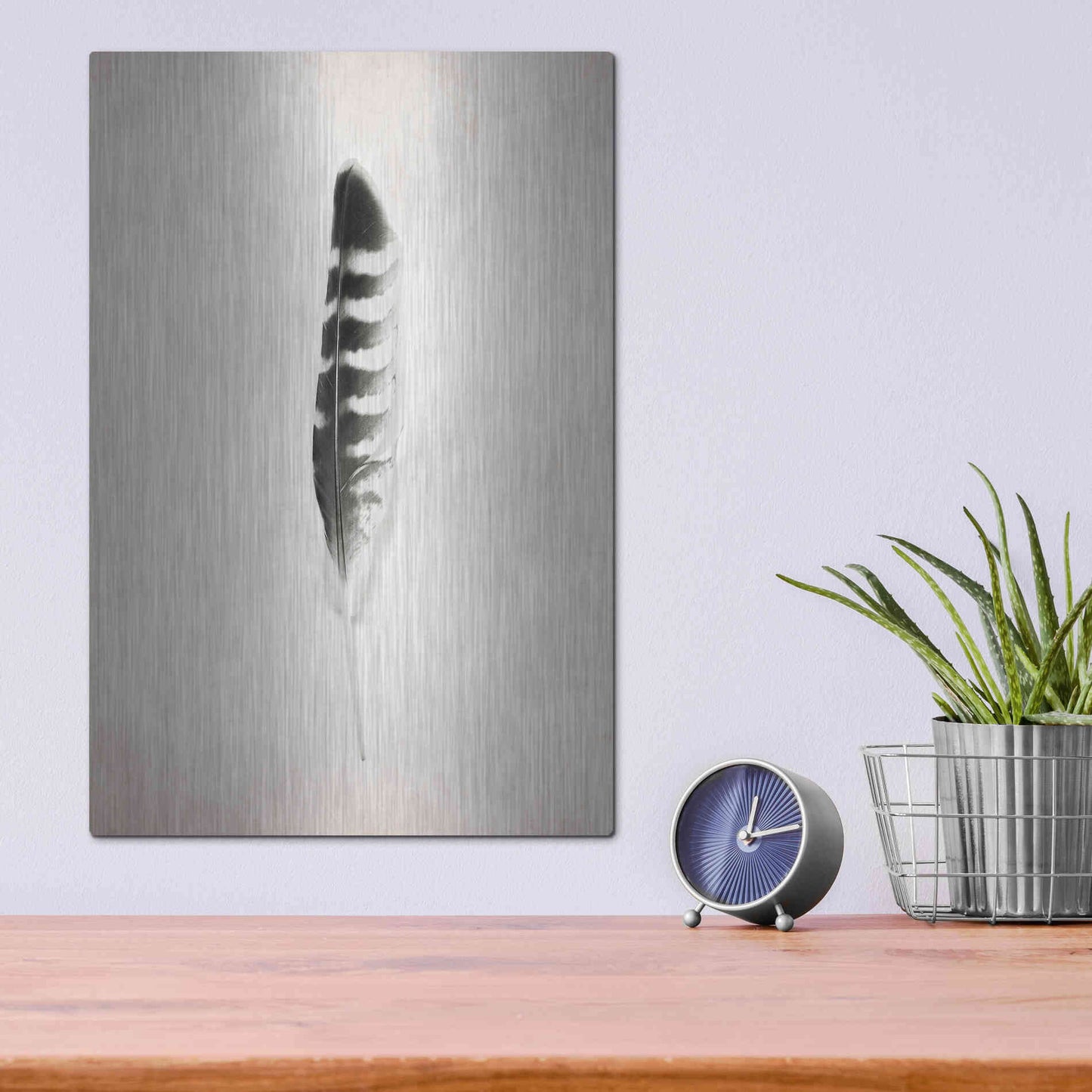Luxe Metal Art 'Feather IV B&W' by Debra Van Swearingen, Metal Wall Art,12x16