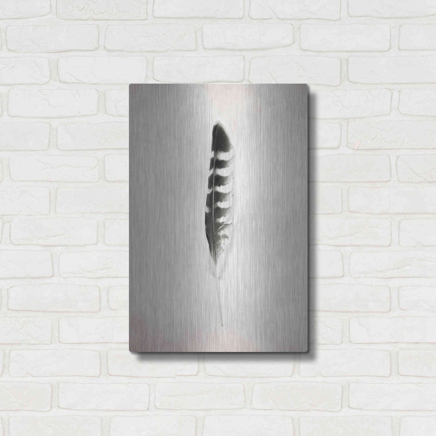 Luxe Metal Art 'Feather IV B&W' by Debra Van Swearingen, Metal Wall Art,16x24