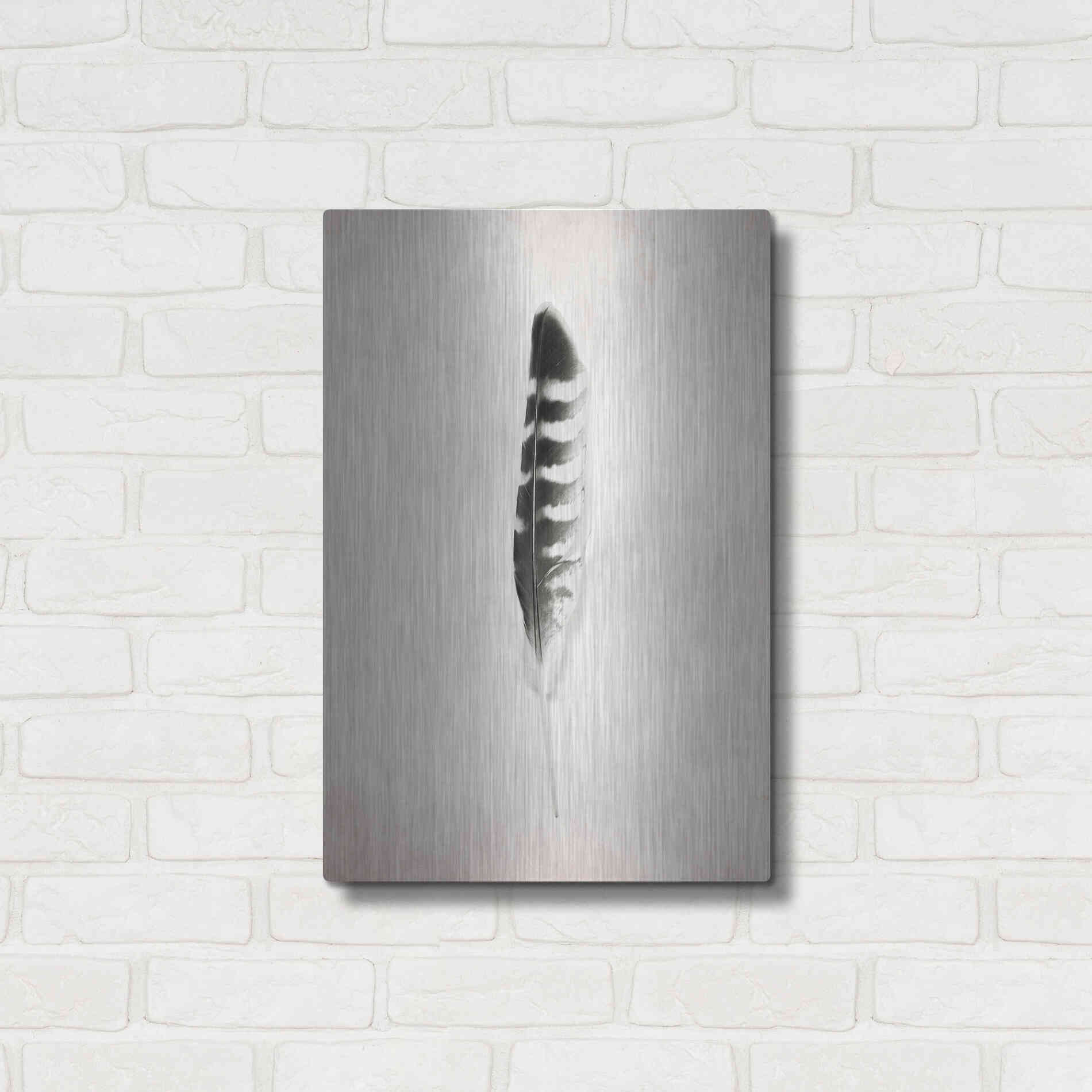 Luxe Metal Art 'Feather IV B&W' by Debra Van Swearingen, Metal Wall Art,16x24