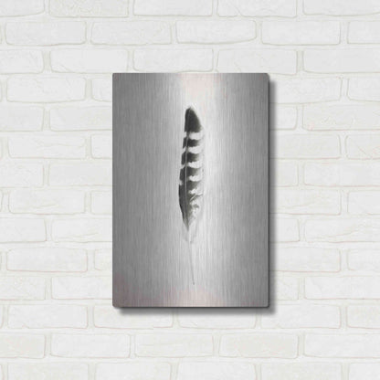 Luxe Metal Art 'Feather IV B&W' by Debra Van Swearingen, Metal Wall Art,16x24