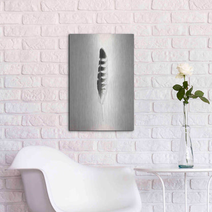 Luxe Metal Art 'Feather IV B&W' by Debra Van Swearingen, Metal Wall Art,16x24