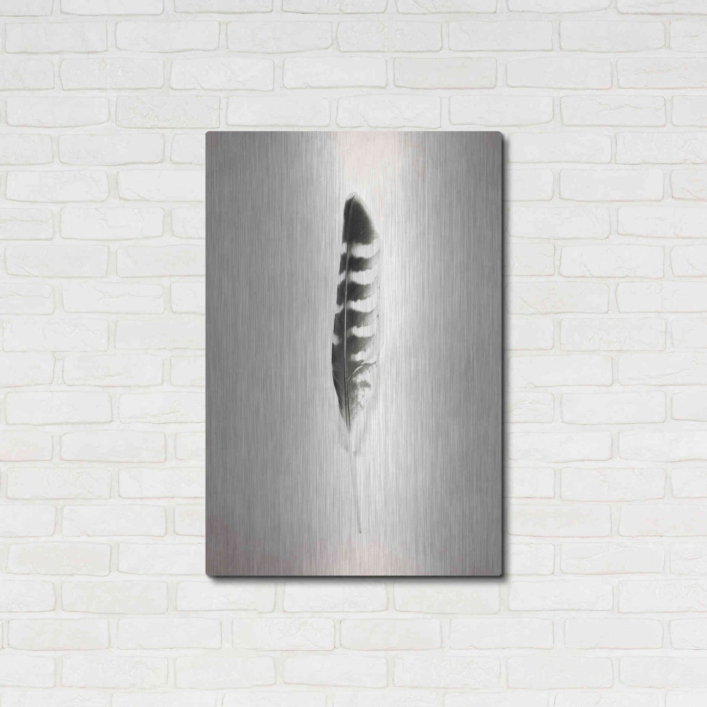 Luxe Metal Art 'Feather IV B&W' by Debra Van Swearingen, Metal Wall Art,24x36