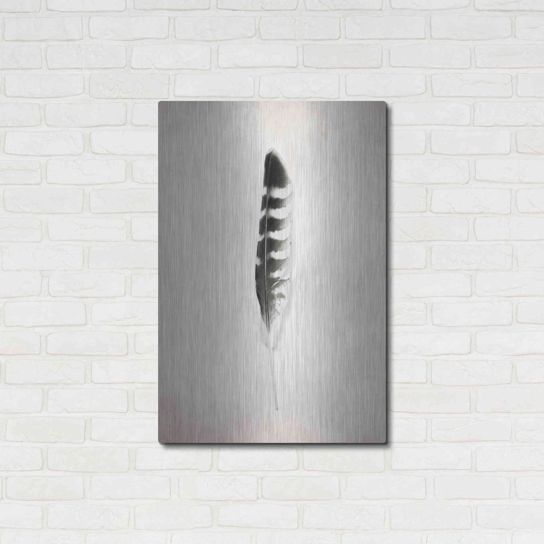 Luxe Metal Art 'Feather IV B&W' by Debra Van Swearingen, Metal Wall Art,24x36
