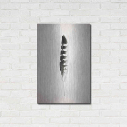 Luxe Metal Art 'Feather IV B&W' by Debra Van Swearingen, Metal Wall Art,24x36