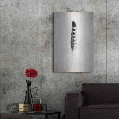 Luxe Metal Art 'Feather IV B&W' by Debra Van Swearingen, Metal Wall Art,24x36