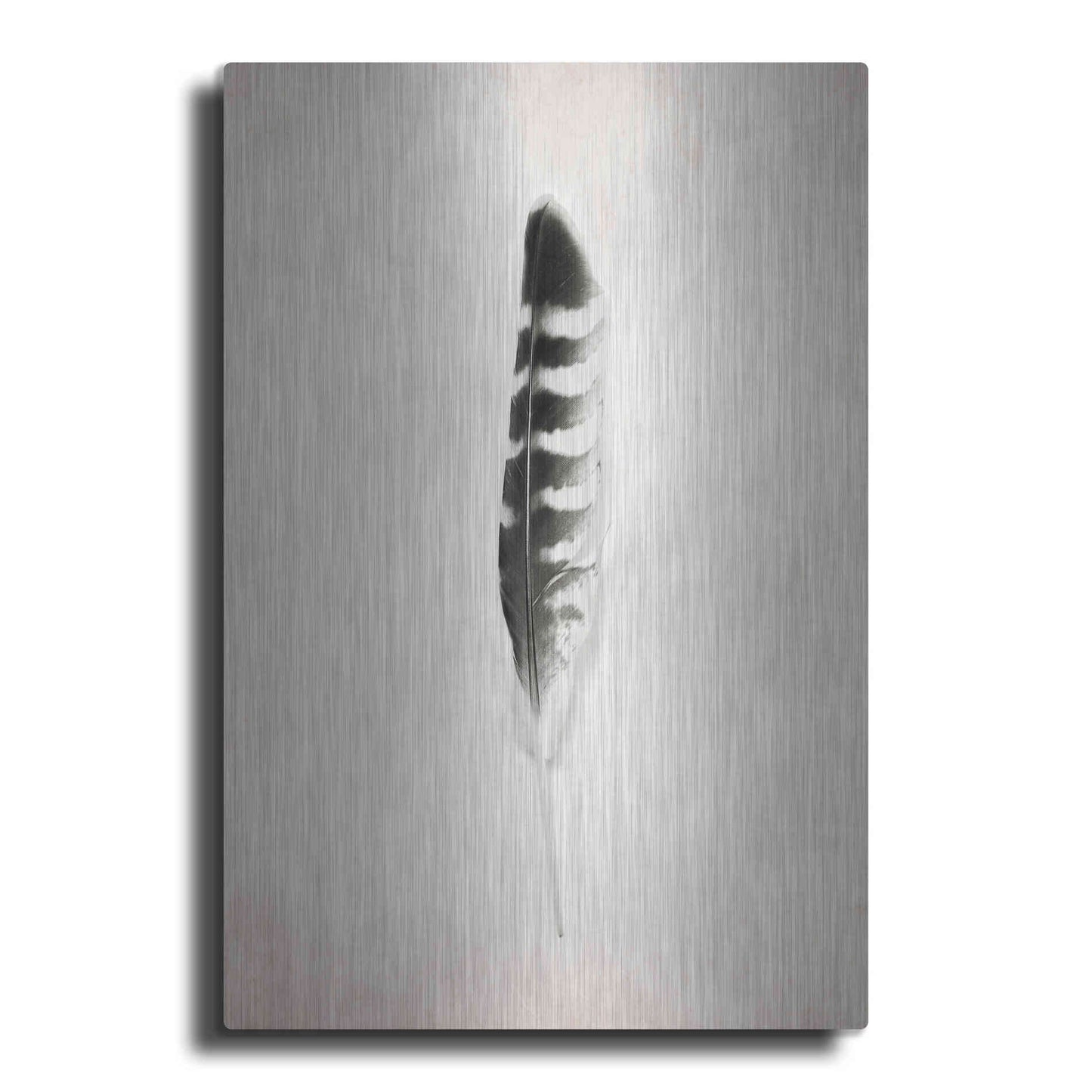 Luxe Metal Art 'Feather IV B&W' by Debra Van Swearingen, Metal Wall Art