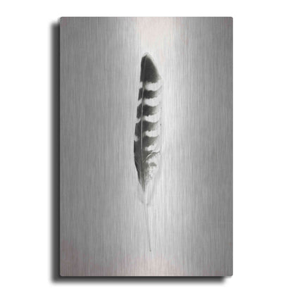 Luxe Metal Art 'Feather IV B&W' by Debra Van Swearingen, Metal Wall Art