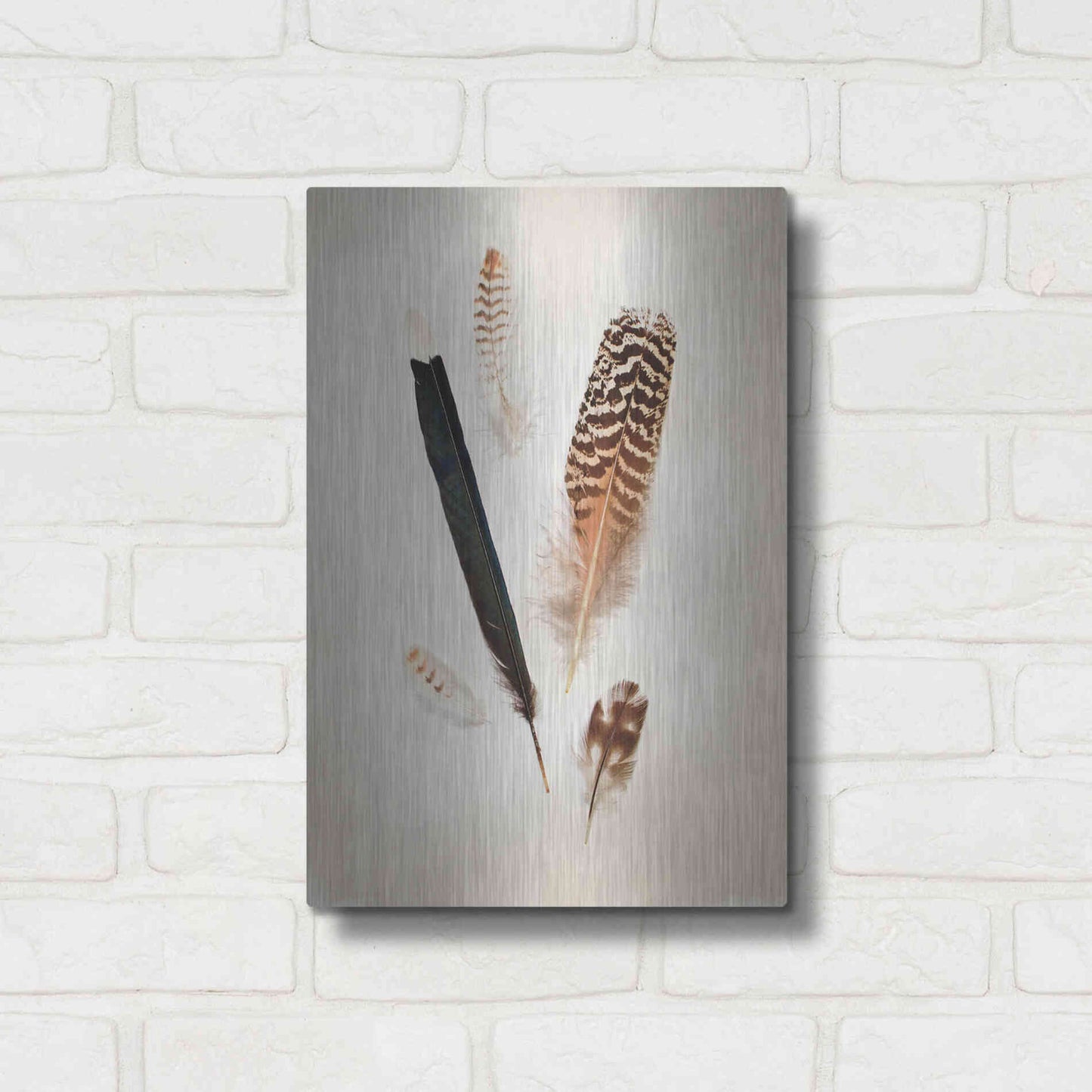 Luxe Metal Art 'Feather Group II' by Debra Van Swearingen, Metal Wall Art,12x16