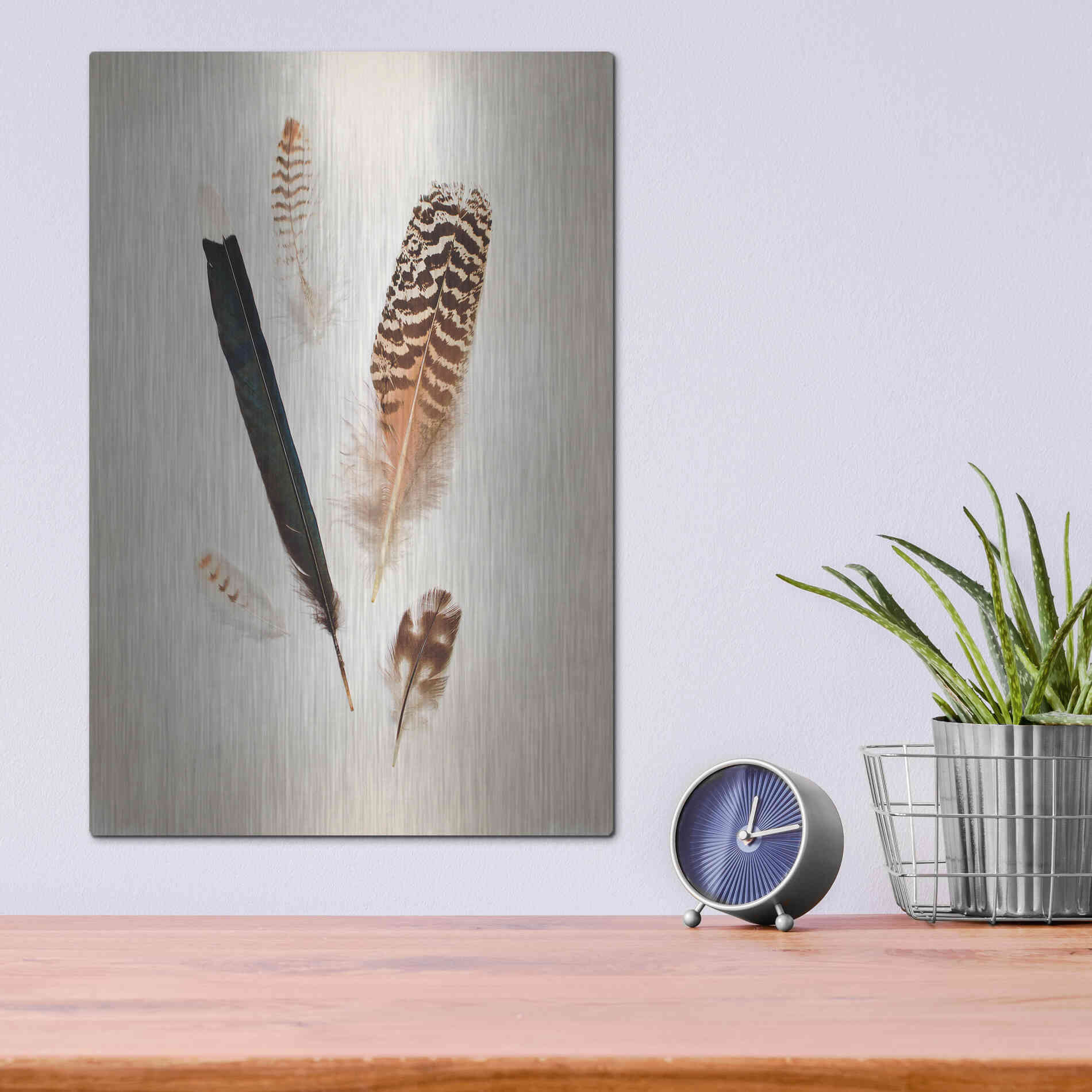 Luxe Metal Art 'Feather Group II' by Debra Van Swearingen, Metal Wall Art,12x16