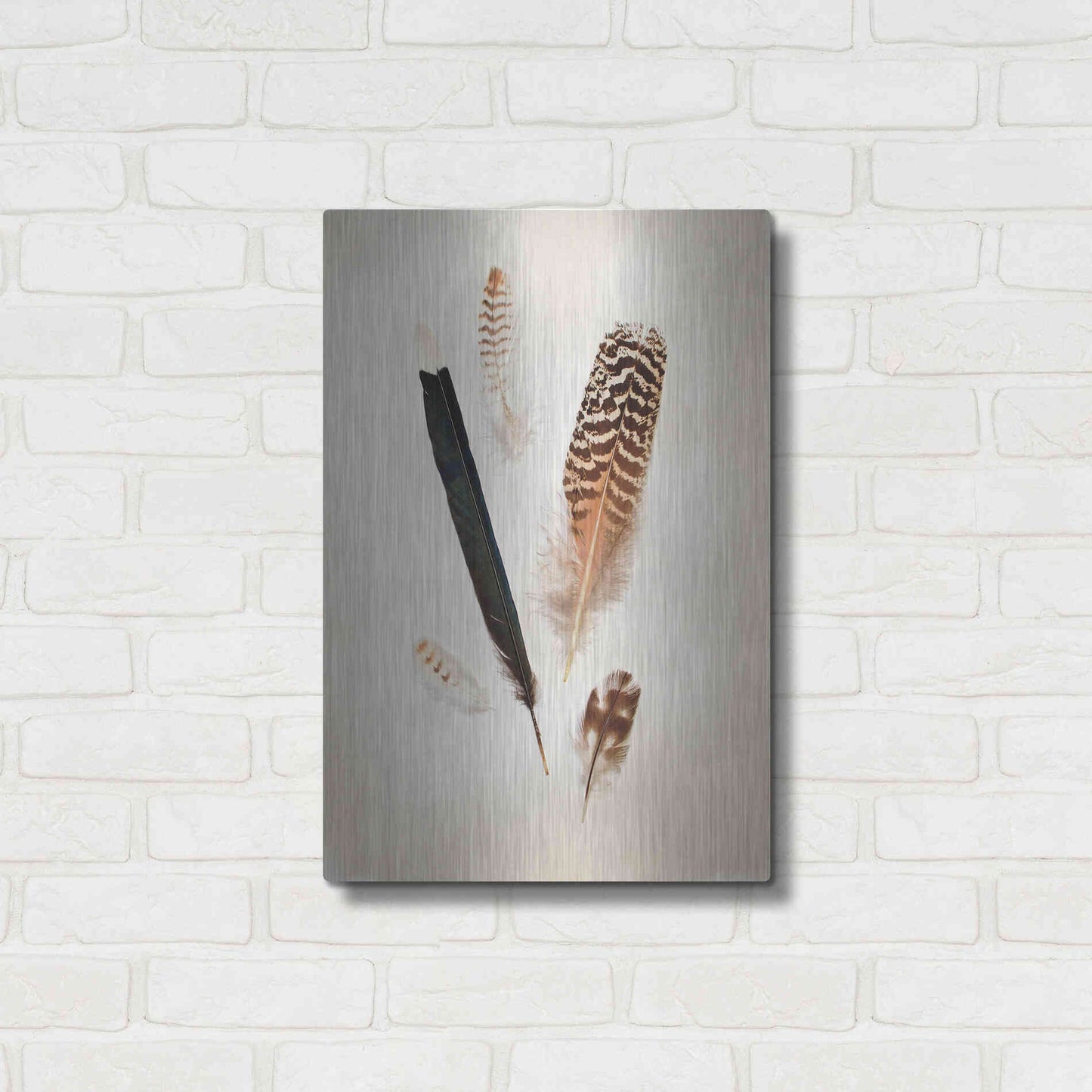 Luxe Metal Art 'Feather Group II' by Debra Van Swearingen, Metal Wall Art,16x24
