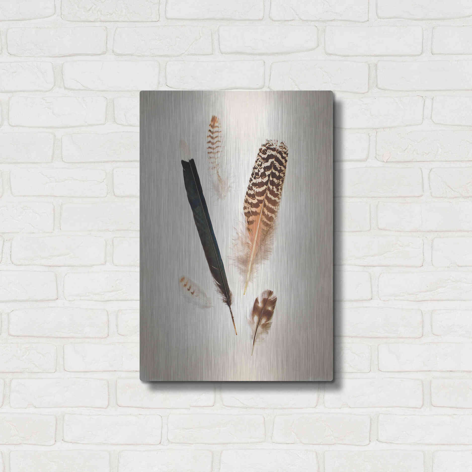 Luxe Metal Art 'Feather Group II' by Debra Van Swearingen, Metal Wall Art,16x24