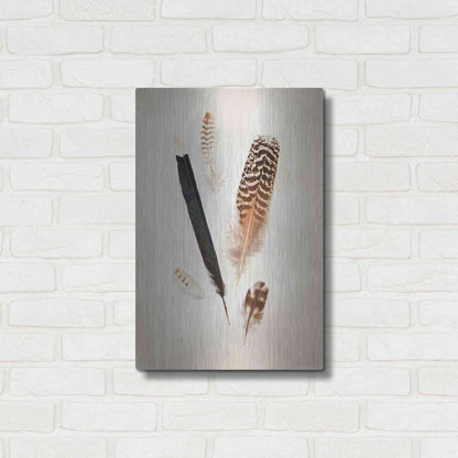 Luxe Metal Art 'Feather Group II' by Debra Van Swearingen, Metal Wall Art,16x24