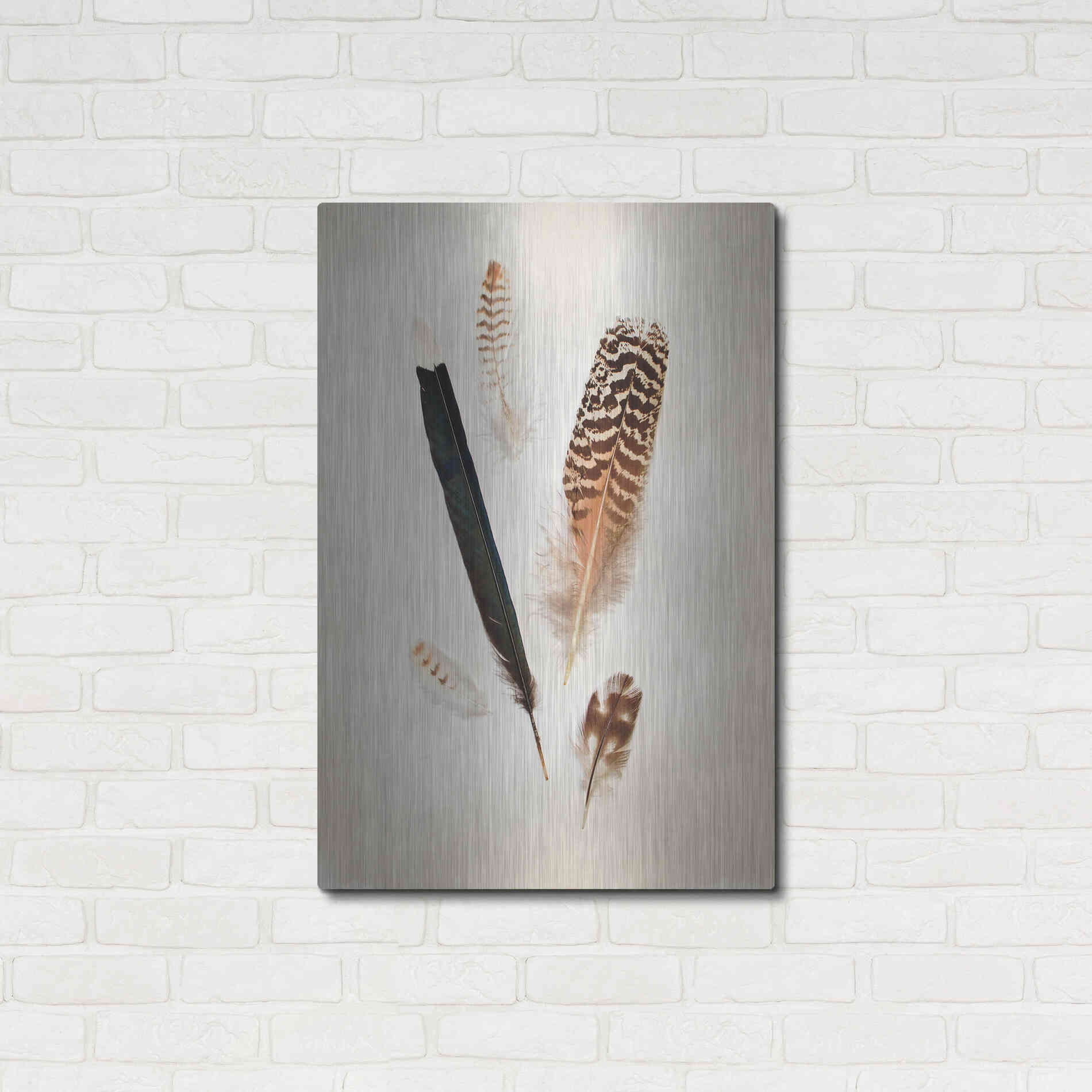 Luxe Metal Art 'Feather Group II' by Debra Van Swearingen, Metal Wall Art,24x36