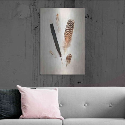 Luxe Metal Art 'Feather Group II' by Debra Van Swearingen, Metal Wall Art,24x36