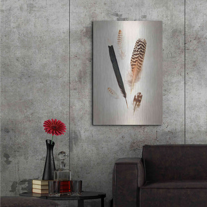 Luxe Metal Art 'Feather Group II' by Debra Van Swearingen, Metal Wall Art,24x36