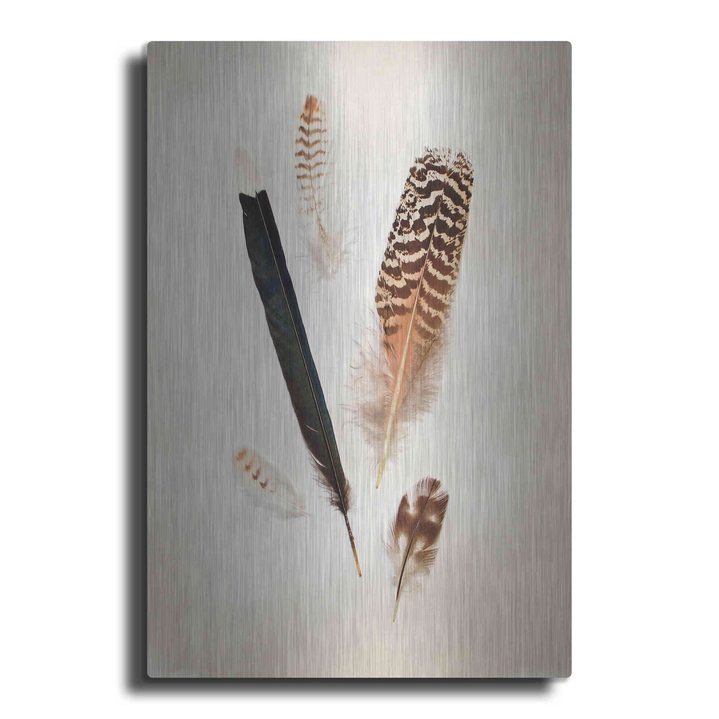 Luxe Metal Art 'Feather Group II' by Debra Van Swearingen, Metal Wall Art