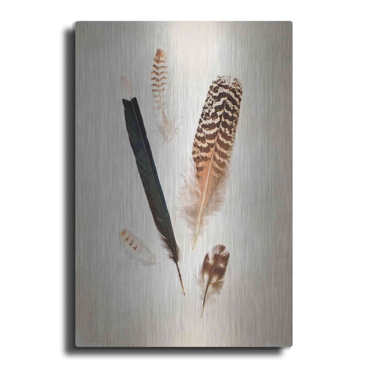 Luxe Metal Art 'Feather Group II' by Debra Van Swearingen, Metal Wall Art