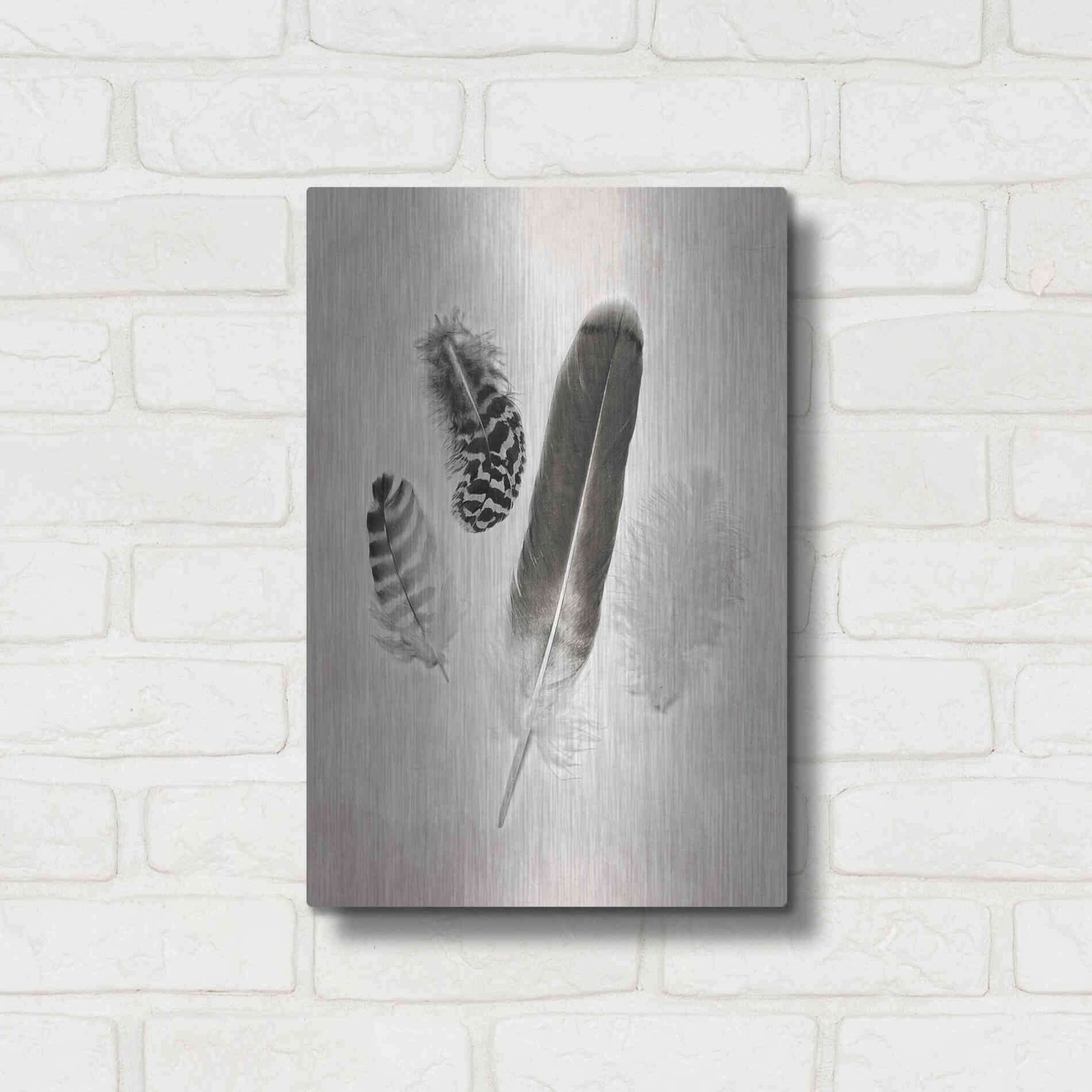 Luxe Metal Art 'Feather Group I B&W' by Debra Van Swearingen, Metal Wall Art,12x16