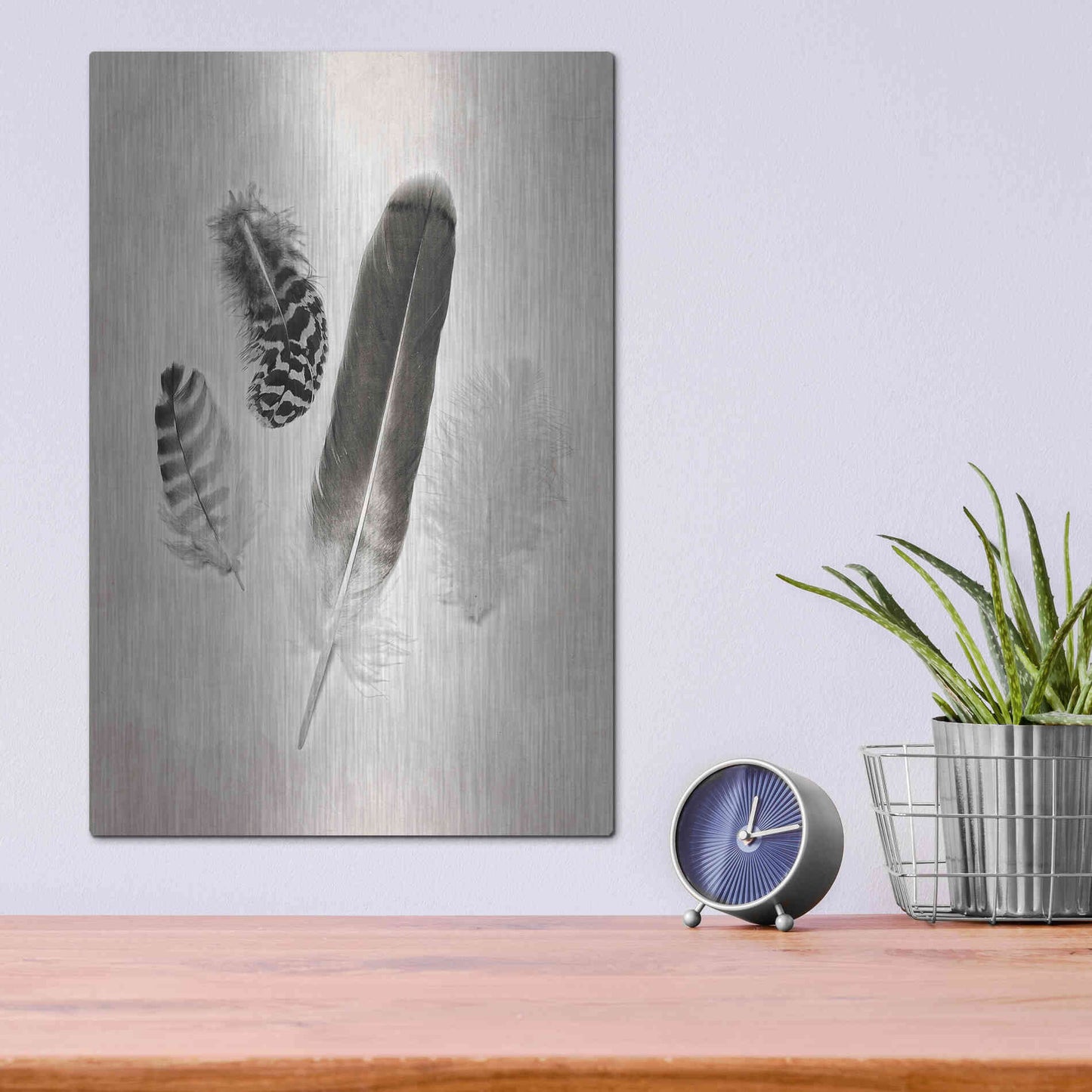 Luxe Metal Art 'Feather Group I B&W' by Debra Van Swearingen, Metal Wall Art,12x16