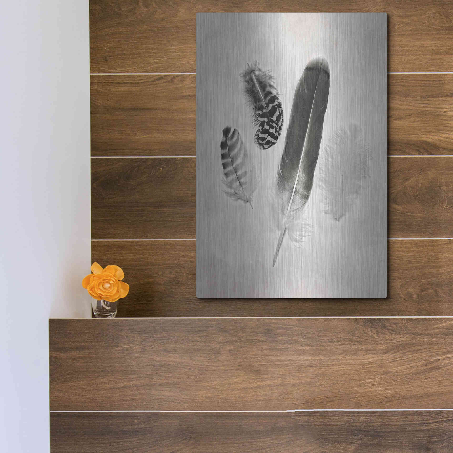 Luxe Metal Art 'Feather Group I B&W' by Debra Van Swearingen, Metal Wall Art,12x16