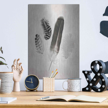 Luxe Metal Art 'Feather Group I B&W' by Debra Van Swearingen, Metal Wall Art,12x16