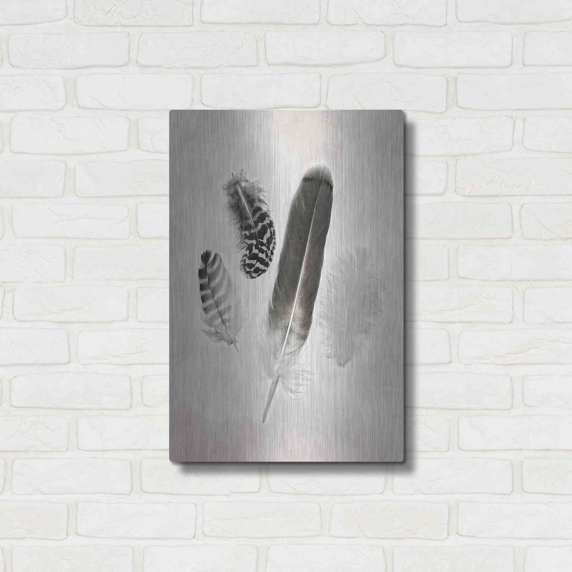 Luxe Metal Art 'Feather Group I B&W' by Debra Van Swearingen, Metal Wall Art,16x24