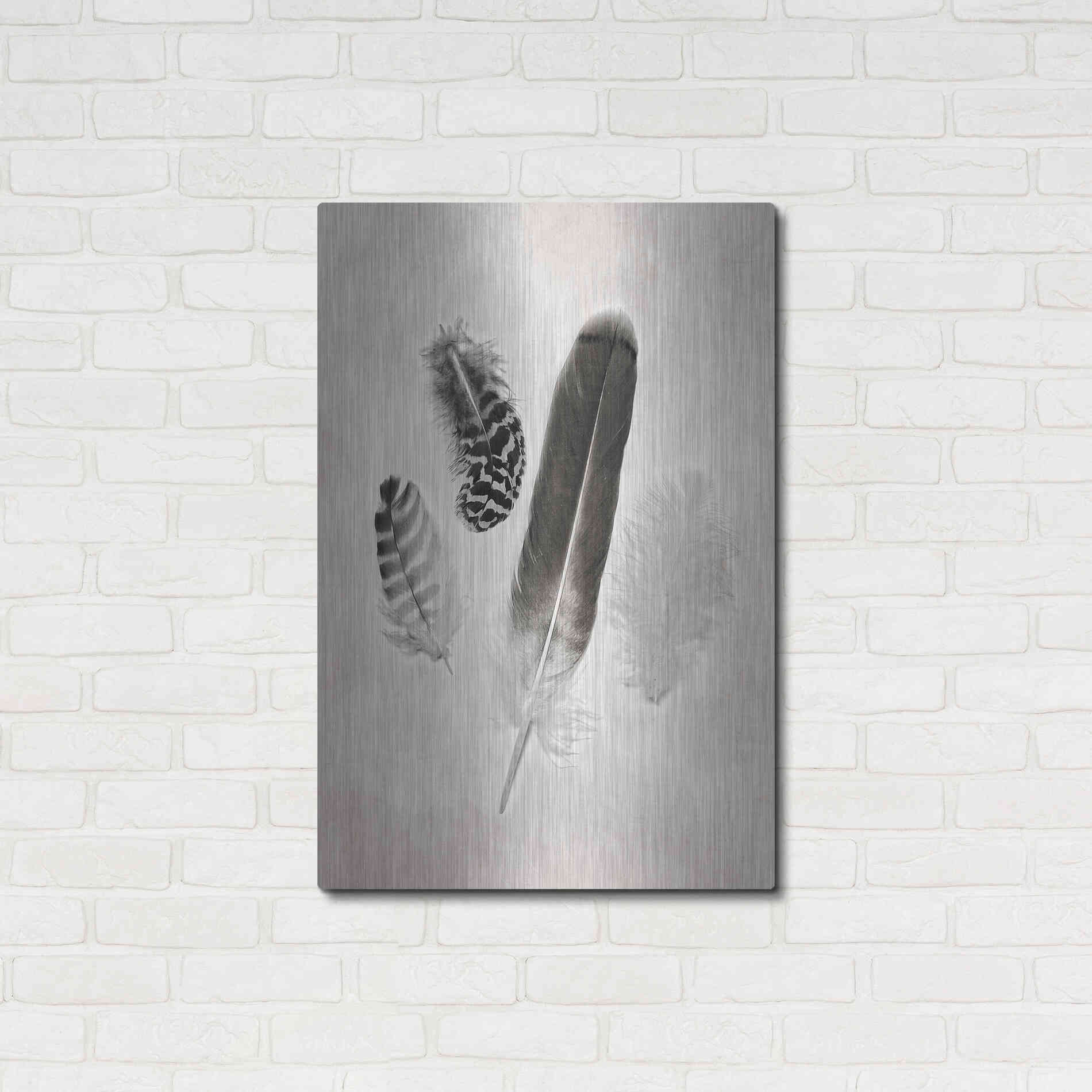 Luxe Metal Art 'Feather Group I B&W' by Debra Van Swearingen, Metal Wall Art,24x36
