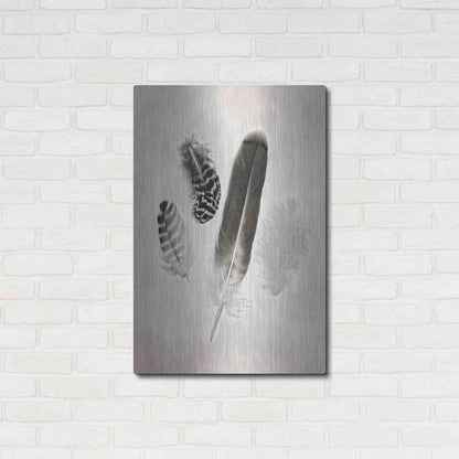 Luxe Metal Art 'Feather Group I B&W' by Debra Van Swearingen, Metal Wall Art,24x36