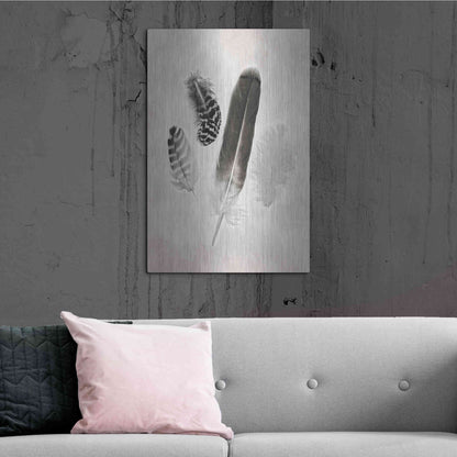 Luxe Metal Art 'Feather Group I B&W' by Debra Van Swearingen, Metal Wall Art,24x36