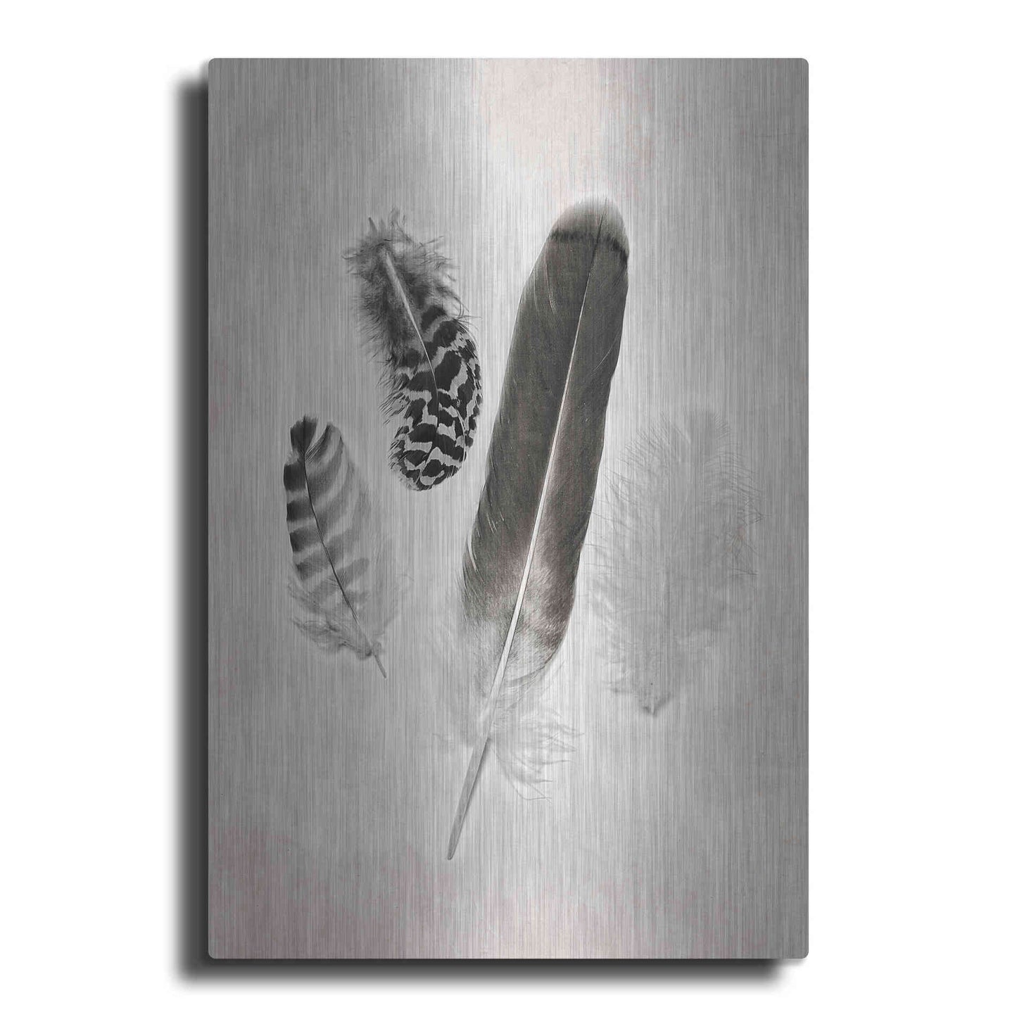 Luxe Metal Art 'Feather Group I B&W' by Debra Van Swearingen, Metal Wall Art